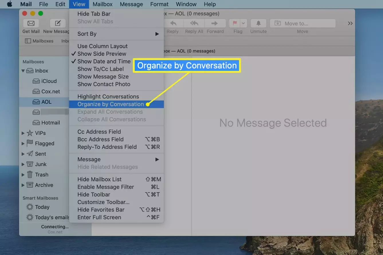 Apple Mail view settings