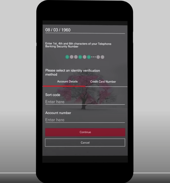 HSBC lösenordsinmatningsexempel