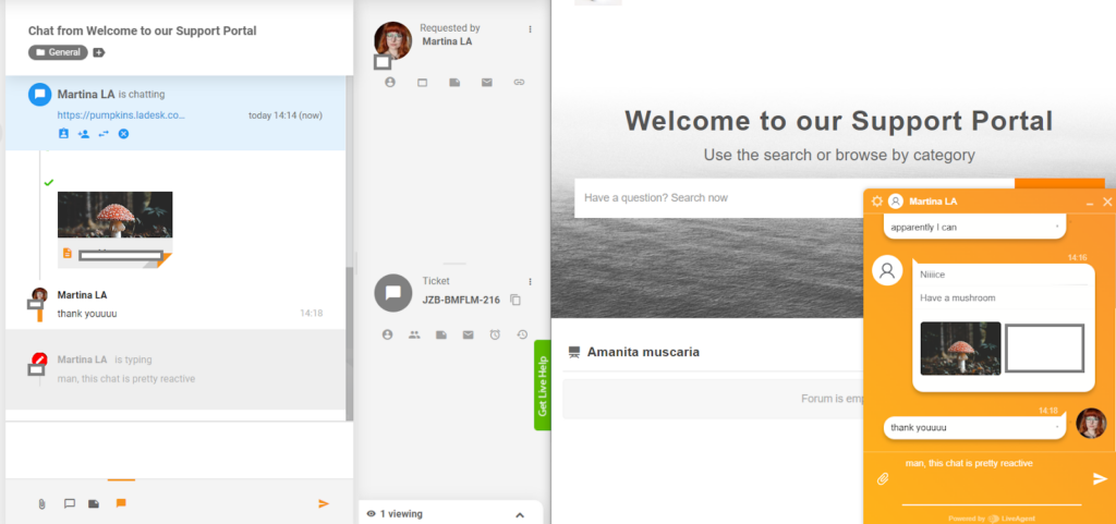 LiveAgent - real-time typing preview