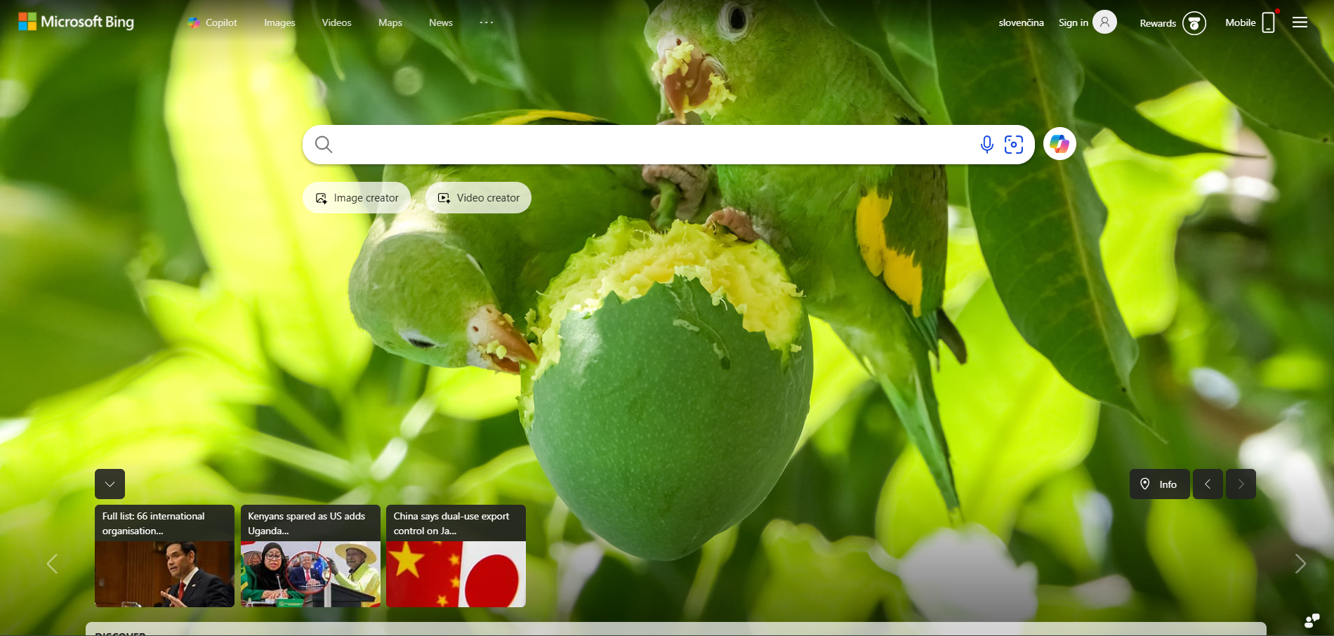 Bing Helpdesk Kontakter