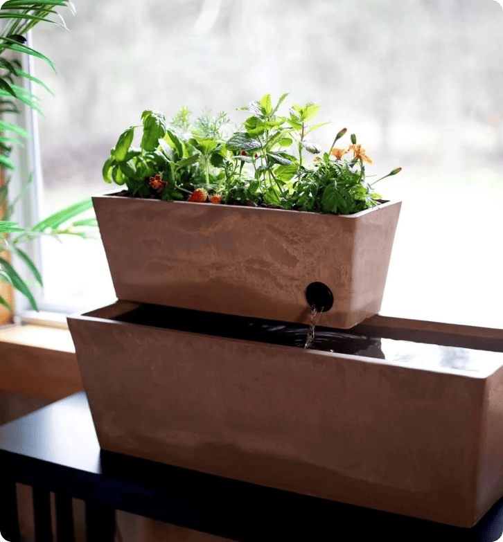 Hur AquaSprouts uppnår 96,5% kundnöjdhet med LiveAgent