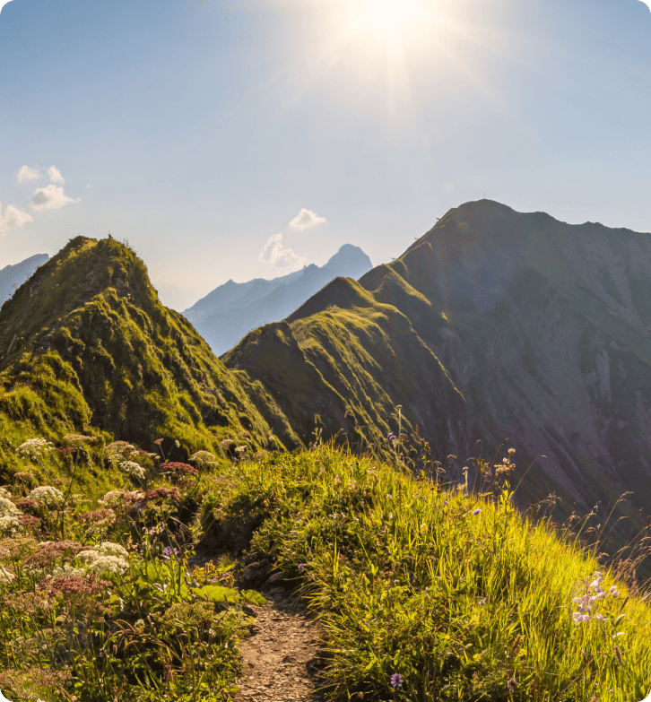 Hur ZlavaDna förbättrade kundsupport med LiveAgent